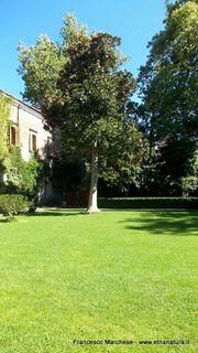 stello di Nelson-15-09-2014 07-48-18